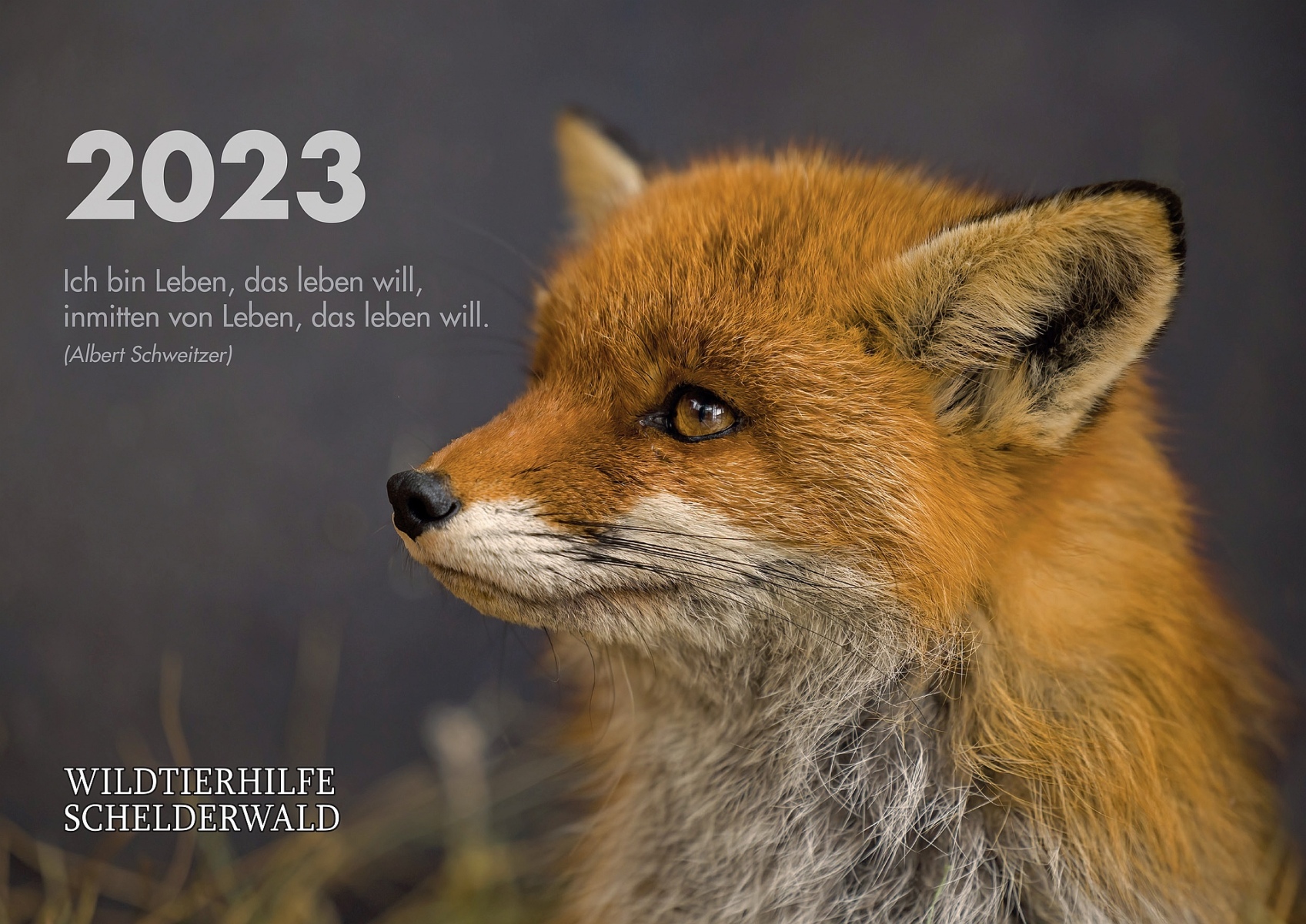 Wildtierhilfe 2023